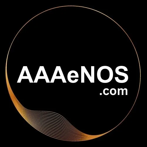 aaaenos website maintenance cost